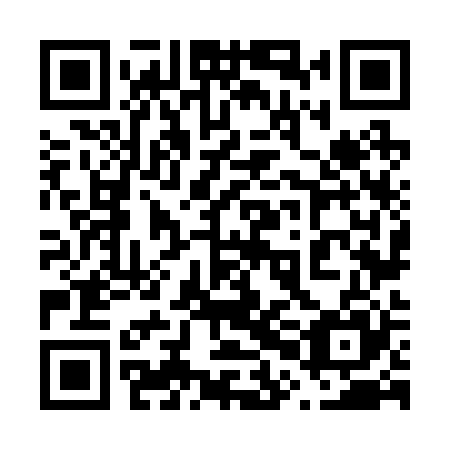 QR code for plate 60N 225