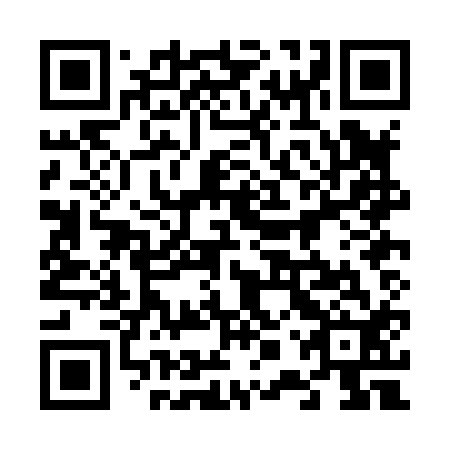 QR code for plate 60P H12