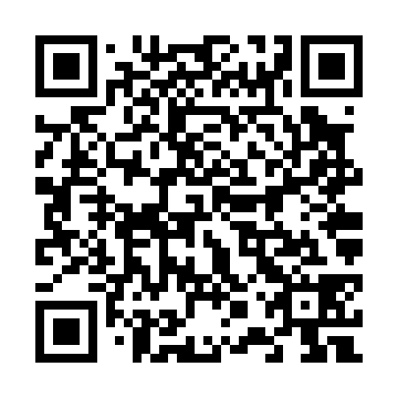 QR code for 60V P38