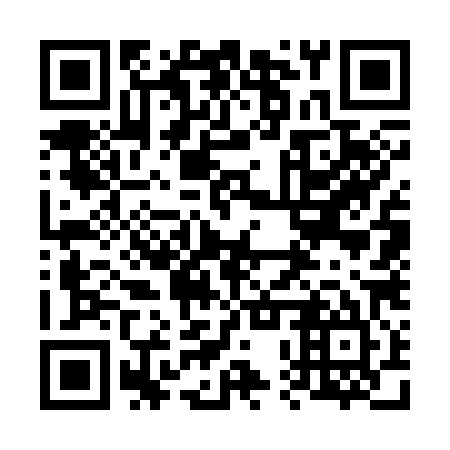 QR code for plate 60W 385