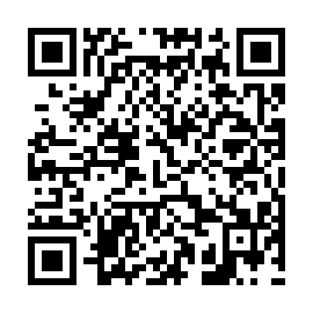 QR code for plate 61E 311