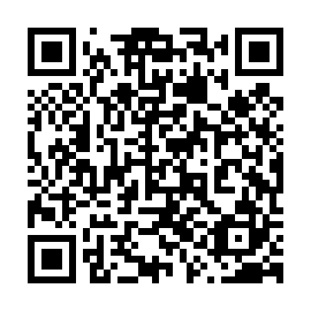 QR code for plate 61H D22
