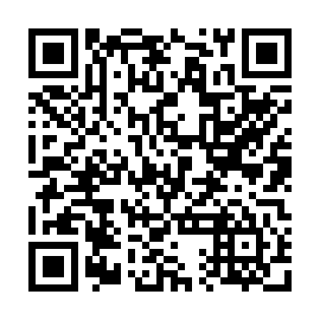 QR code for 61N 245