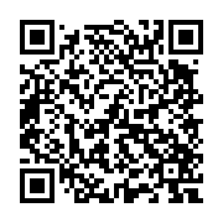 QR code for 61P 447