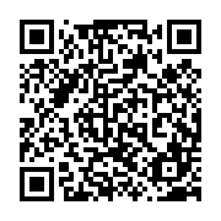 QR code for 61P D06