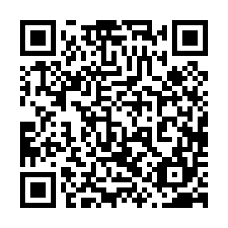 QR code for plate 61P 054