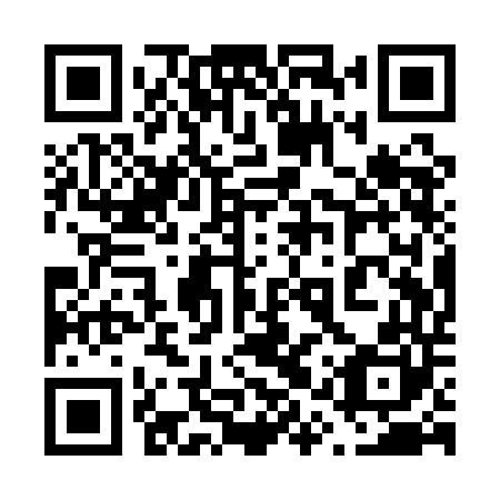 QR code for plate 61Q QD0