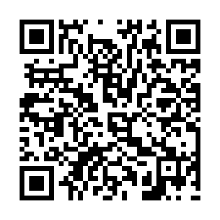 QR code for plate 61R IZ1