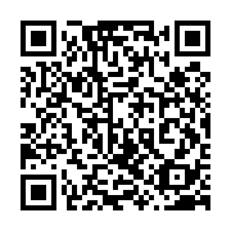 QR code for plate 61S E38
