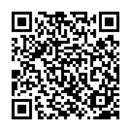 QR code for plate 61T G03