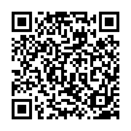 QR code for plate 61V 213