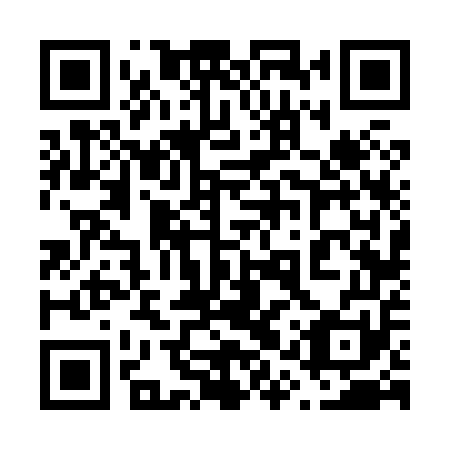 QR code for plate 61V 851