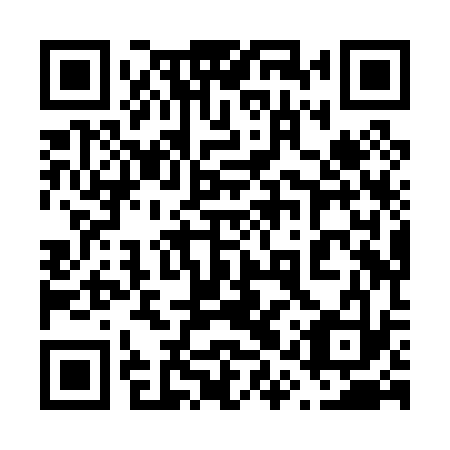 QR code for 61X P33