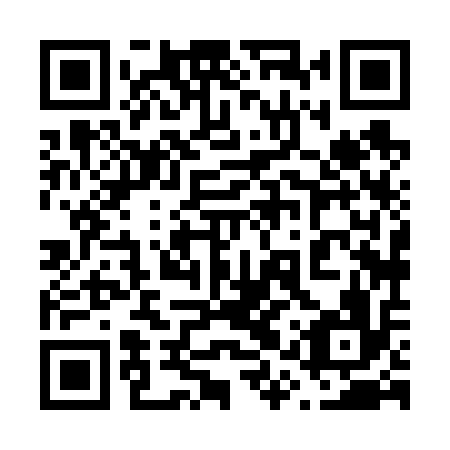 QR code for plate 61X 616
