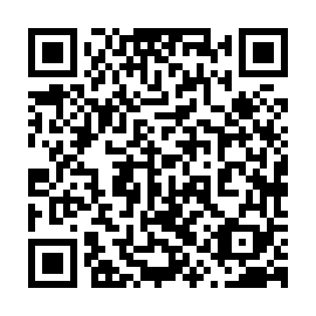 QR code for plate 61X 869