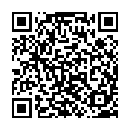 QR code for plate 61X Q95