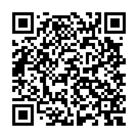 QR code for plate 61Z 053