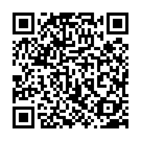 QR code for plate 61Z 529