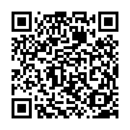QR code for plate 61Z PV8