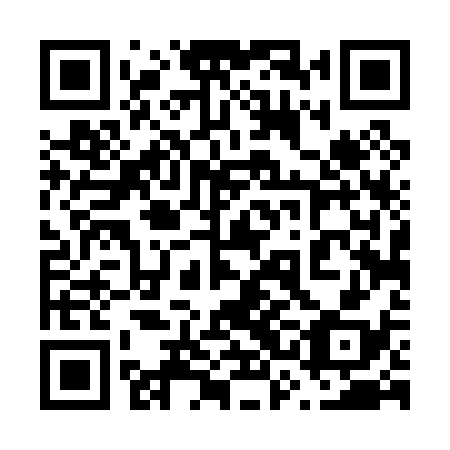QR code for plate 63D 038