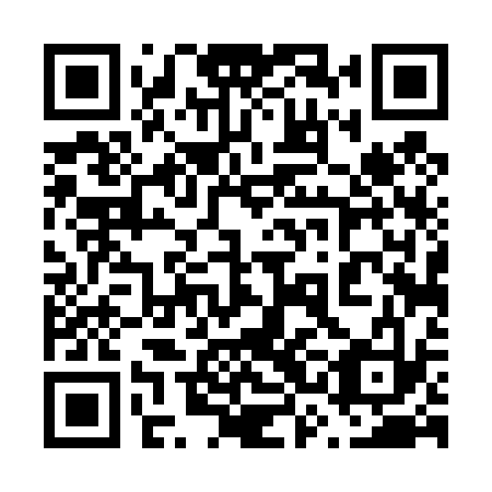 QR code for plate 63D 433