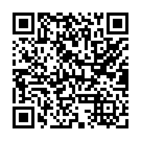 QR code for 63DX41