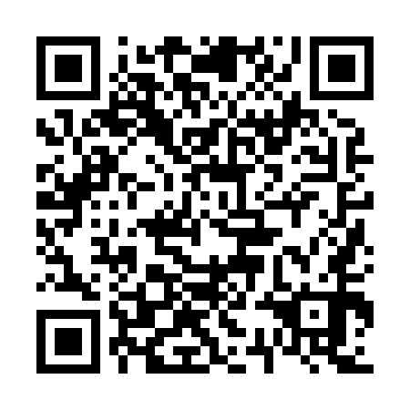 QR code for plate 63J 850