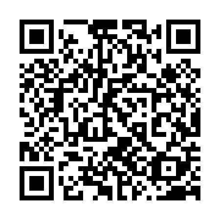 QR code for plate 63L P09