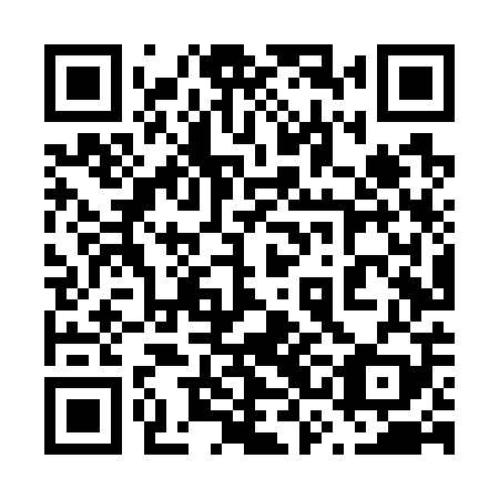 QR code for plate 63L W09
