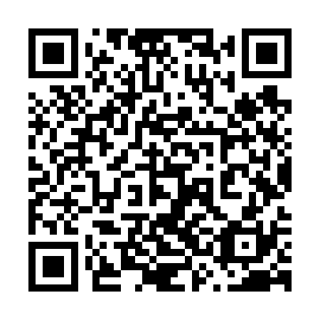 QR code for 63N V30