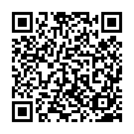 QR code for plate 63N 460