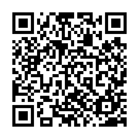 QR code for plate 63N 604