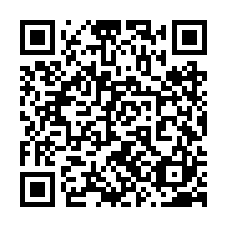 QR code for plate 63N BR3