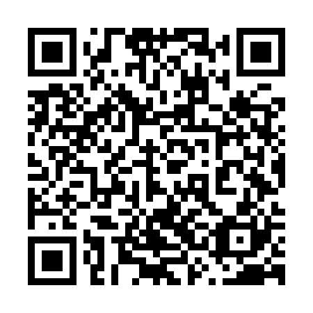 QR code for plate 63N IR0