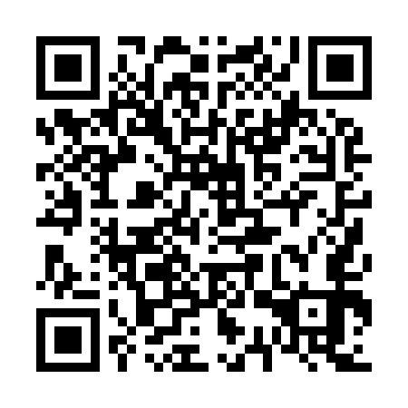 QR code for 63P 953