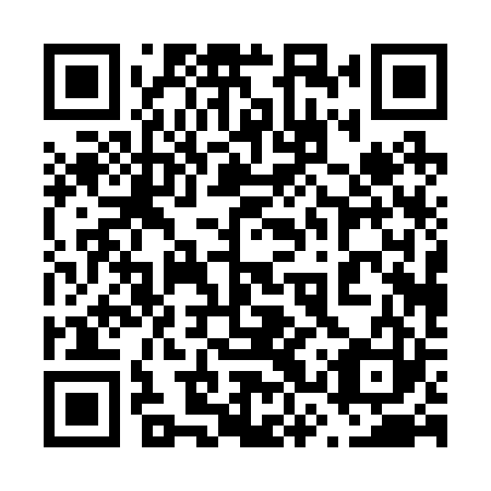 QR code for 63P223