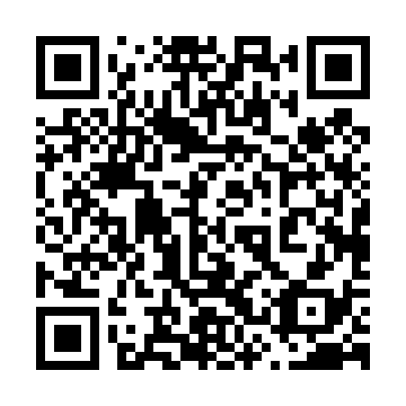 QR code for plate 63P 438