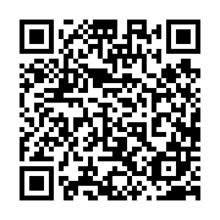 QR code for 63P602