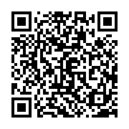 QR code for plate 63P 833