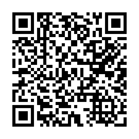 QR code for 63Q 394