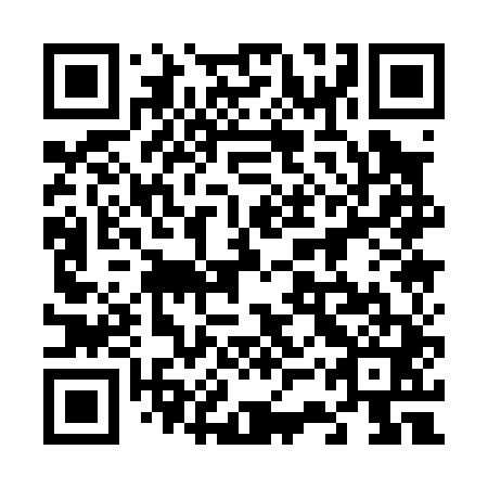 QR code for plate 63Q 041
