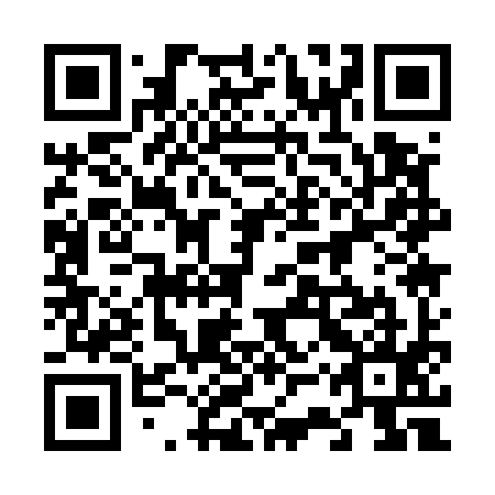 QR code for 63Q595