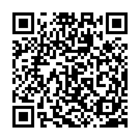 QR code for plate 63Q X61