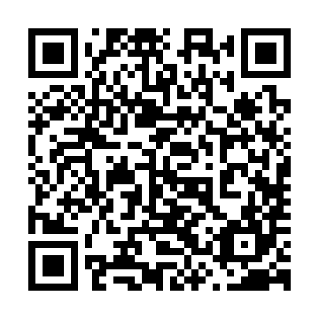 QR code for plate 63R 384