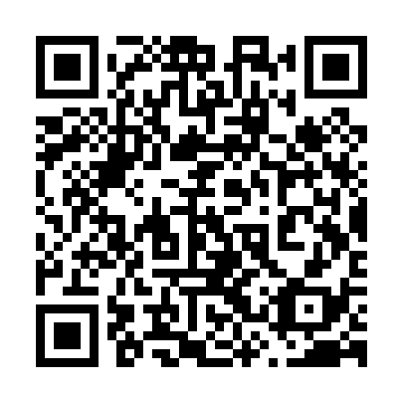 QR code for 63SP38