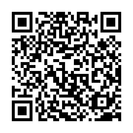 QR code for 63T P31