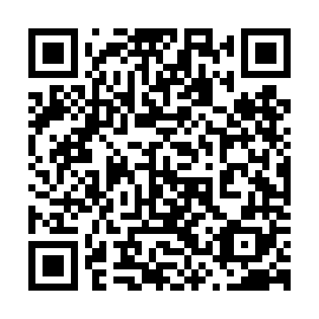 QR code for plate 63T DN8