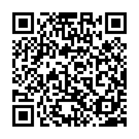 QR code for plate 63T P91
