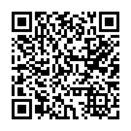 QR code for plate 63V 381