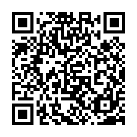 QR code for plate 63V P17